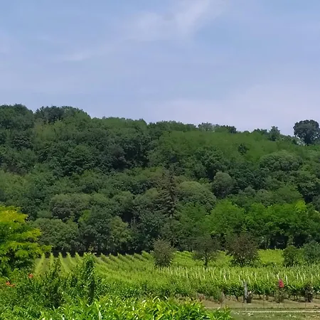 Pensionat Il Montello Montebelluna